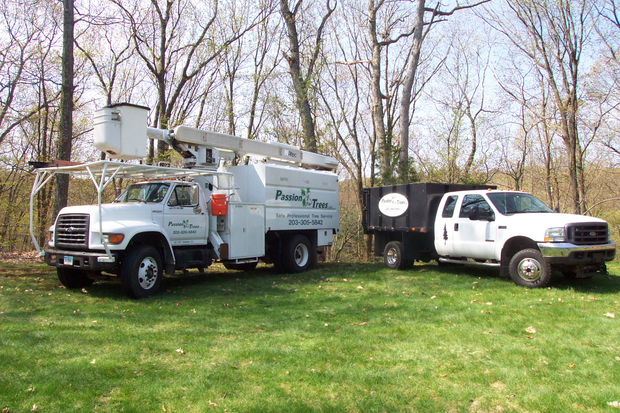 Passion For Trees crew performing tree work in Connecticut