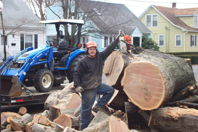 Licensed arborist safely climbing and pruning a tall tree in Connecticut