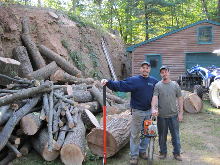 Passion for Trees arborist team removing a tall multi-trunked oak from a clifftop above a building